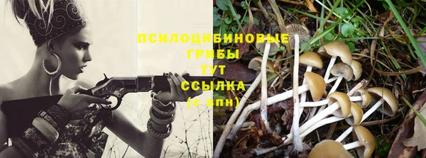 Альфа ПВП Баксан