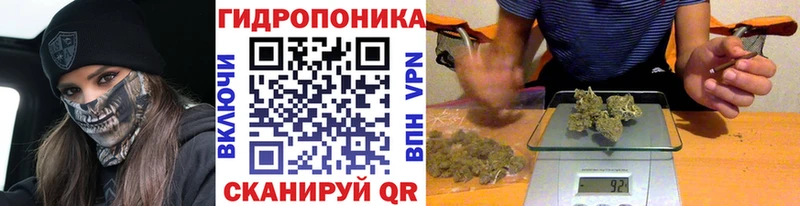 Шишки марихуана OG Kush  цена   Лабытнанги 